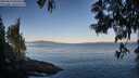 ./images/koeye/fitz-hugh/20250613/fitz-hugh20250613_065011M.jpg