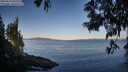 ./images/koeye/fitz-hugh/20250613/fitz-hugh20250613_065510M.jpg