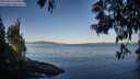 ./images/koeye/fitz-hugh/20250613/fitz-hugh20250613_070011M.jpg