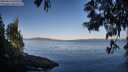 ./images/koeye/fitz-hugh/20250613/fitz-hugh20250613_070510M.jpg