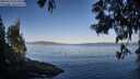 ./images/koeye/fitz-hugh/20250613/fitz-hugh20250613_071011M.jpg