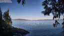 ./images/koeye/fitz-hugh/20250613/fitz-hugh20250613_071510M.jpg