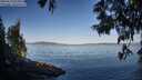 ./images/koeye/fitz-hugh/20250613/fitz-hugh20250613_072010M.jpg