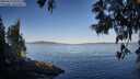 ./images/koeye/fitz-hugh/20250613/fitz-hugh20250613_072510M.jpg