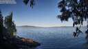 ./images/koeye/fitz-hugh/20250613/fitz-hugh20250613_073010M.jpg
