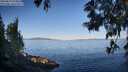 ./images/koeye/fitz-hugh/20250613/fitz-hugh20250613_074009M.jpg