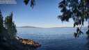 ./images/koeye/fitz-hugh/20250613/fitz-hugh20250613_074510M.jpg