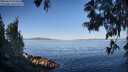 ./images/koeye/fitz-hugh/20250613/fitz-hugh20250613_075011M.jpg