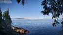 ./images/koeye/fitz-hugh/20250613/fitz-hugh20250613_080011M.jpg