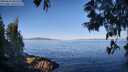 ./images/koeye/fitz-hugh/20250613/fitz-hugh20250613_081511M.jpg