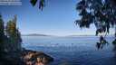 ./images/koeye/fitz-hugh/20250613/fitz-hugh20250613_083011M.jpg