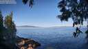 ./images/koeye/fitz-hugh/20250613/fitz-hugh20250613_083510M.jpg