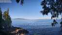 ./images/koeye/fitz-hugh/20250613/fitz-hugh20250613_084511M.jpg