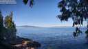 ./images/koeye/fitz-hugh/20250613/fitz-hugh20250613_085011M.jpg