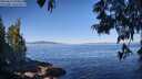 ./images/koeye/fitz-hugh/20250613/fitz-hugh20250613_090012M.jpg