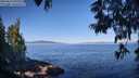 ./images/koeye/fitz-hugh/20250613/fitz-hugh20250613_090510M.jpg