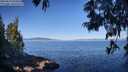 ./images/koeye/fitz-hugh/20250613/fitz-hugh20250613_091011M.jpg