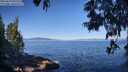 ./images/koeye/fitz-hugh/20250613/fitz-hugh20250613_091511M.jpg