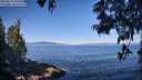 ./images/koeye/fitz-hugh/20250613/fitz-hugh20250613_092012M.jpg