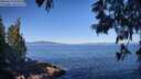 ./images/koeye/fitz-hugh/20250613/fitz-hugh20250613_092511M.jpg