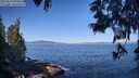 ./images/koeye/fitz-hugh/20250613/fitz-hugh20250613_093012M.jpg