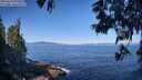 ./images/koeye/fitz-hugh/20250613/fitz-hugh20250613_093511M.jpg