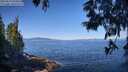 ./images/koeye/fitz-hugh/20250613/fitz-hugh20250613_094512M.jpg