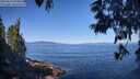 ./images/koeye/fitz-hugh/20250613/fitz-hugh20250613_095012M.jpg