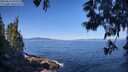 ./images/koeye/fitz-hugh/20250613/fitz-hugh20250613_095511M.jpg