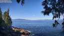 ./images/koeye/fitz-hugh/20250613/fitz-hugh20250613_100011M.jpg