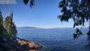 ./images/koeye/fitz-hugh/20250613/fitz-hugh20250613_100510M.jpg