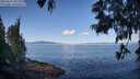./images/koeye/fitz-hugh/20250613/fitz-hugh20250613_101511M.jpg
