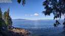 ./images/koeye/fitz-hugh/20250613/fitz-hugh20250613_102012M.jpg