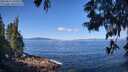 ./images/koeye/fitz-hugh/20250613/fitz-hugh20250613_102509M.jpg