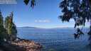 ./images/koeye/fitz-hugh/20250613/fitz-hugh20250613_103013M.jpg