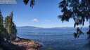 ./images/koeye/fitz-hugh/20250613/fitz-hugh20250613_103510M.jpg