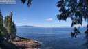 ./images/koeye/fitz-hugh/20250613/fitz-hugh20250613_104009M.jpg