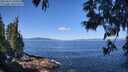 ./images/koeye/fitz-hugh/20250613/fitz-hugh20250613_104511M.jpg