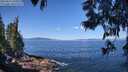 ./images/koeye/fitz-hugh/20250613/fitz-hugh20250613_105011M.jpg