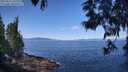 ./images/koeye/fitz-hugh/20250613/fitz-hugh20250613_105510M.jpg