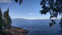 ./images/koeye/fitz-hugh/20250613/fitz-hugh20250613_110012M.jpg