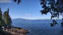 ./images/koeye/fitz-hugh/20250613/fitz-hugh20250613_110511M.jpg
