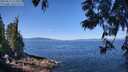 ./images/koeye/fitz-hugh/20250613/fitz-hugh20250613_111011M.jpg