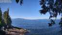 ./images/koeye/fitz-hugh/20250613/fitz-hugh20250613_112012M.jpg