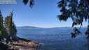 ./images/koeye/fitz-hugh/20250613/fitz-hugh20250613_112510M.jpg