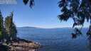 ./images/koeye/fitz-hugh/20250613/fitz-hugh20250613_113012M.jpg