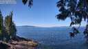 ./images/koeye/fitz-hugh/20250613/fitz-hugh20250613_113511M.jpg