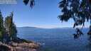 ./images/koeye/fitz-hugh/20250613/fitz-hugh20250613_114011M.jpg