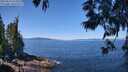 ./images/koeye/fitz-hugh/20250613/fitz-hugh20250613_114510M.jpg