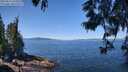 ./images/koeye/fitz-hugh/20250613/fitz-hugh20250613_115011M.jpg